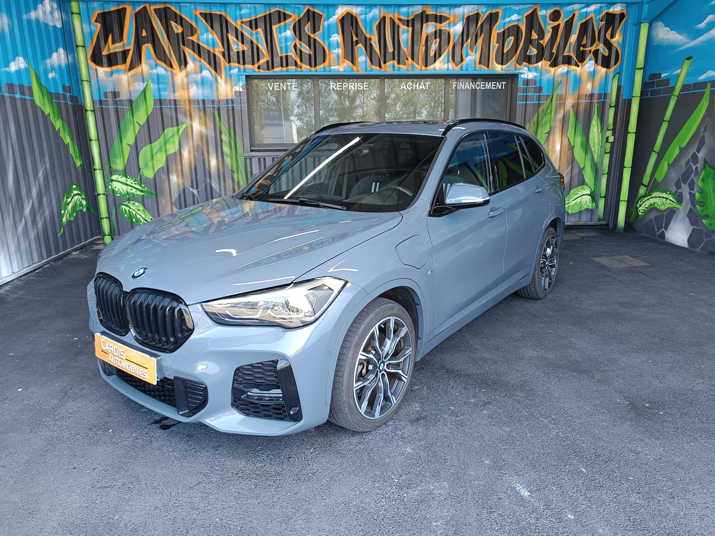 BMW X1 (F48) XDRIVE25EA 220CH M SPORT 6CV
