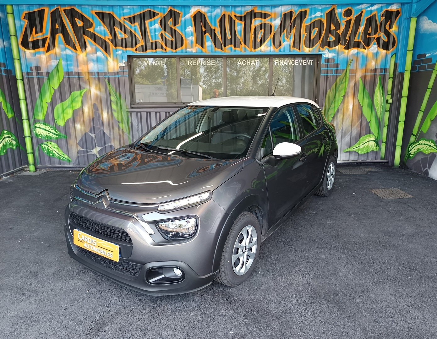 CITROEN C3 1.5 BLUEHDI 100CH S&S YOU!